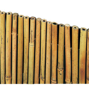 Canne di bambù di qualità superiore in rotolo