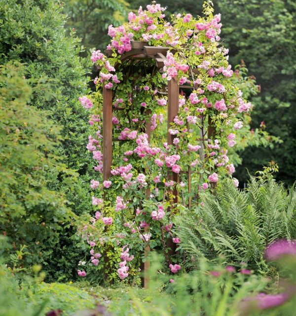 Pergola ad arco in legno impregnato - immagine 2