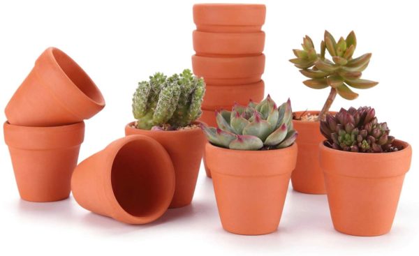 Vaso in terracotta standard diverse misure - immagine 6