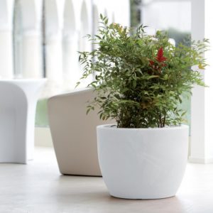 Vaso per piante Bianco Hera Nicoli