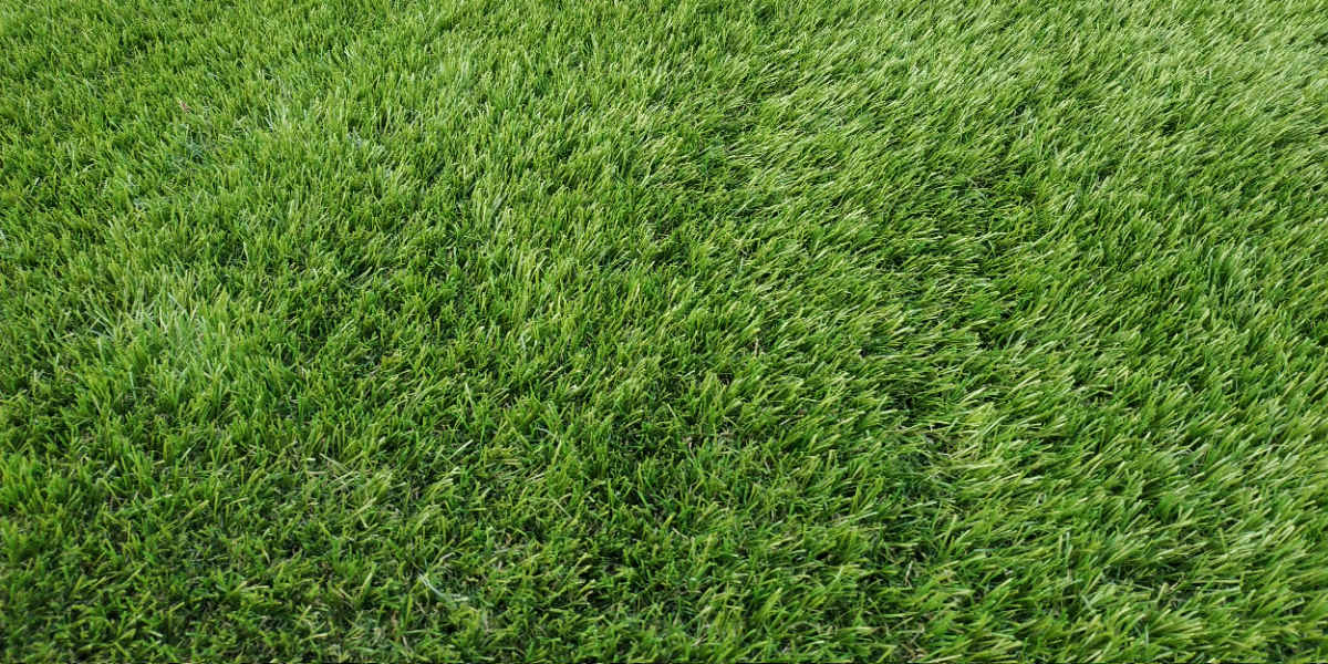 Erba sintetica in rotoli effetto realistico per giardini e terrazze Made in Italy "Superiore" - immagine 3