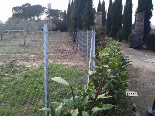 Recinzione in ferro zincato nudo o plastificato verde - immagine 10