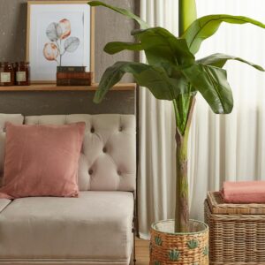 Pianta Banano con Vaso H185 cm EDG