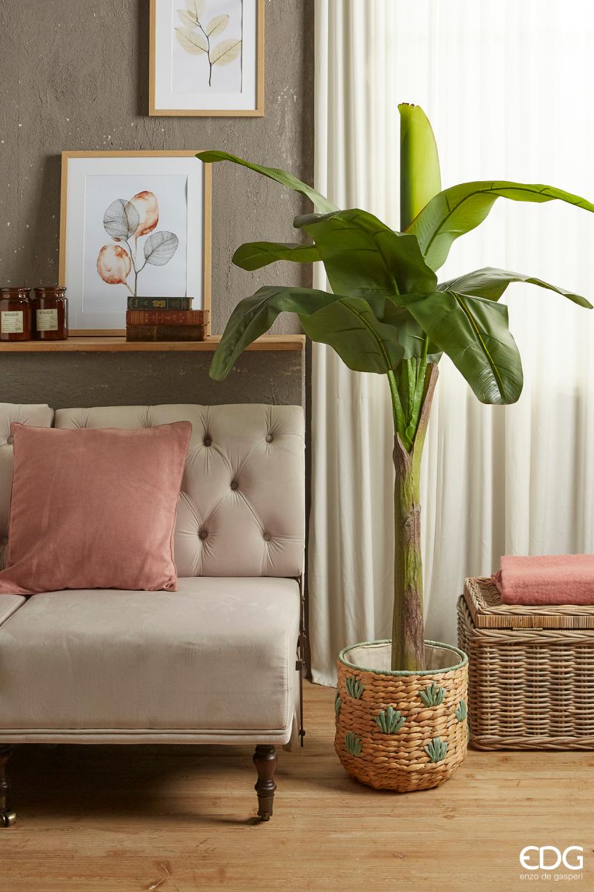 Pianta Banano con Vaso H185 cm EDG - immagine 2