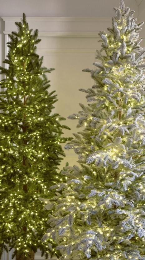 Albero di Natale Rockefeller Slim Innevato by Salvatore Izzo 210CM - 2200LED integrati | Xone - immagine 5